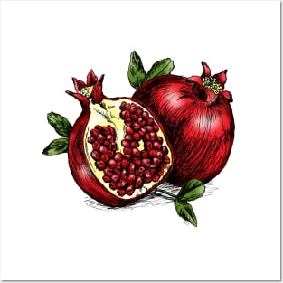 Pomegranate print Posters and Art